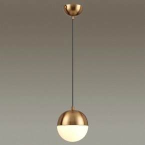 Подвесной светильник Odeon Light Pinga 4960/1 в Ревде - revda.mebel24.online | фото 2