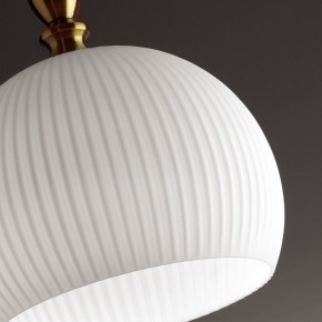 Подвесной светильник Odeon Light Runga 4766/1 в Ревде - revda.mebel24.online | фото 8