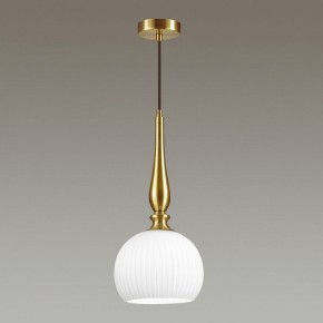 Подвесной светильник Odeon Light Runga 4767/1 в Ревде - revda.mebel24.online | фото 4