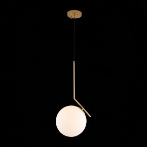 Подвесной светильник ST-Luce Codda SL1148.303.01 в Ревде - revda.mebel24.online | фото 5