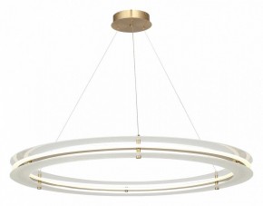 Подвесной светильник ST-Luce FAGY SL6245.213.01 в Ревде - revda.mebel24.online | фото 4