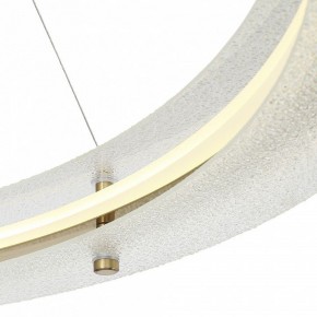Подвесной светильник ST-Luce FAGY SL6245.213.01 в Ревде - revda.mebel24.online | фото 6