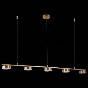 Подвесной светильник ST-Luce Pances SL6000.303.05 в Ревде - revda.mebel24.online | фото 6