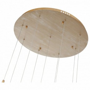 Подвесной светильник ST-Luce SL1116 SL1116.203.09 в Ревде - revda.mebel24.online | фото 4