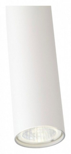 Подвесной светильник ST-Luce Tuore SL1592.503.01 в Ревде - revda.mebel24.online | фото 11