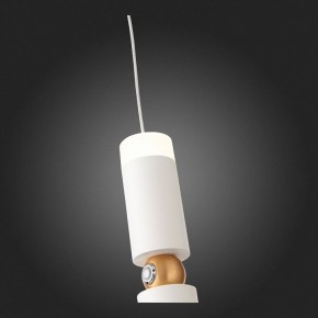 Подвесной светильник ST-Luce Tuore SL1592.503.01 в Ревде - revda.mebel24.online | фото 5