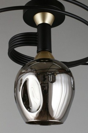Потолочная люстра Aployt Flor APL.611.17.06 в Ревде - revda.mebel24.online | фото 9