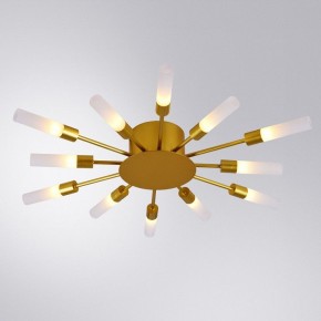 Потолочная люстра Arte Lamp Maple A1276PL-12GO в Ревде - revda.mebel24.online | фото 1