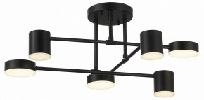 Потолочная люстра EVOLUCE Nobel SLE201042-06 в Ревде - revda.mebel24.online | фото 10