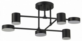 Потолочная люстра EVOLUCE Nobel SLE201042-06 в Ревде - revda.mebel24.online | фото 11