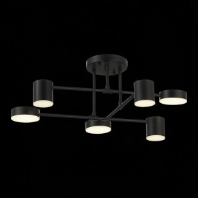 Потолочная люстра EVOLUCE Nobel SLE201042-06 в Ревде - revda.mebel24.online | фото 13