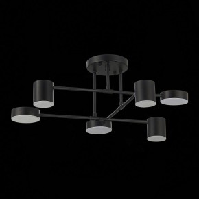 Потолочная люстра EVOLUCE Nobel SLE201042-06 в Ревде - revda.mebel24.online | фото 14