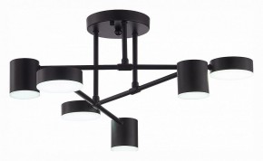 Потолочная люстра EVOLUCE Nobel SLE201042-06 в Ревде - revda.mebel24.online | фото 5