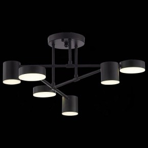 Потолочная люстра EVOLUCE Nobel SLE201042-06 в Ревде - revda.mebel24.online | фото 6