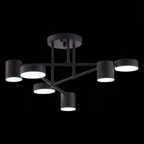Потолочная люстра EVOLUCE Nobel SLE201042-06 в Ревде - revda.mebel24.online | фото 9