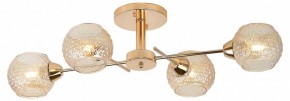 Потолочная люстра Rivoli Amalia Б0050815 в Ревде - revda.mebel24.online | фото 2