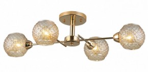 Потолочная люстра Rivoli Amalia Б0050815 в Ревде - revda.mebel24.online | фото 3