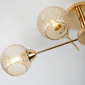 Потолочная люстра Rivoli Amalia Б0050815 в Ревде - revda.mebel24.online | фото 8