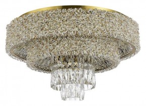 Потолочная люстра ST-Luce Seline SL1637.302.16 в Ревде - revda.mebel24.online | фото