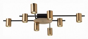 Потолочная люстра ST-Luce Veroli SL1207.402.08 в Ревде - revda.mebel24.online | фото 2