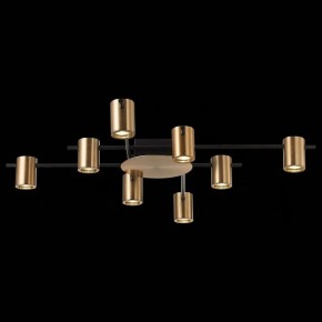 Потолочная люстра ST-Luce Veroli SL1207.402.08 в Ревде - revda.mebel24.online | фото 4