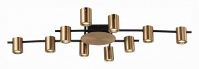 Потолочная люстра ST-Luce Veroli SL1207.402.10 в Ревде - revda.mebel24.online | фото 2