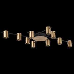Потолочная люстра ST-Luce Veroli SL1207.402.10 в Ревде - revda.mebel24.online | фото 3