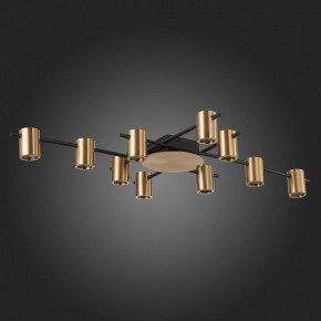 Потолочная люстра ST-Luce Veroli SL1207.402.10 в Ревде - revda.mebel24.online | фото 4