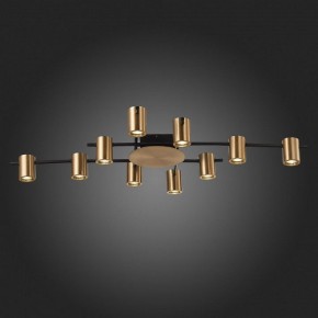 Потолочная люстра ST-Luce Veroli SL1207.402.10 в Ревде - revda.mebel24.online | фото 6