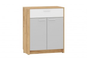 Прихожая "Нортон" (модульная) Крафт Золотой в Ревде - revda.mebel24.online | фото 3
