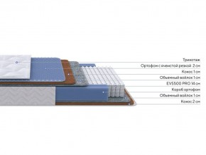 PROxSON Матрас Active Duo M/F (Ткань Трикотаж Эко) 160x195 в Ревде - revda.mebel24.online | фото 2