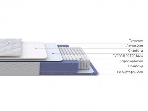 PROxSON Матрас Active Duo S/F (Ткань Трикотаж Эко) 160x190 в Ревде - revda.mebel24.online | фото 3