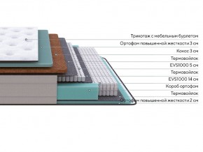 PROxSON Матрас Elysium Firm (Трикотаж Spiral-RT) 160x200 в Ревде - revda.mebel24.online | фото 2