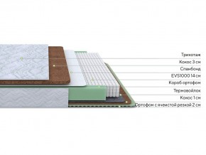 PROxSON Матрас Green Duo M/F (Tricotage Dream) 120x200 в Ревде - revda.mebel24.online | фото 3