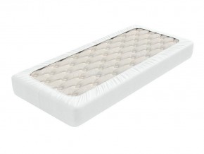PROxSON Защитный чехол Aqua Save Light S (Ткань влагостойкая Tencel Jersey) 120x190 в Ревде - revda.mebel24.online | фото 1