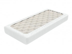 PROxSON Защитный чехол Aqua Save Plush S (Ткань влагостойкая Coral Fleece) 180x190 в Ревде - revda.mebel24.online | фото 2