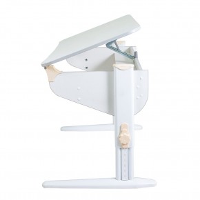 Растущая парта Дэми Parta 5/100 (Сут 46) в Ревде - revda.mebel24.online | фото 2