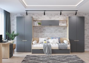 Шкаф 2-х створчатый АНТАЛИЯ (Сонома/Графит софт) в Ревде - revda.mebel24.online | фото 3