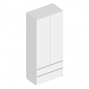 Шкаф 2-ств. с 2 ящиками "Бьянко" в Ревде - revda.mebel24.online | фото