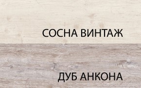 Шкаф 2DG2S, MONAKO, цвет Сосна винтаж/дуб анкона в Ревде - revda.mebel24.online | фото