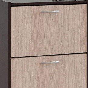 Шкаф для обуви ТО-24 в Ревде - revda.mebel24.online | фото 4
