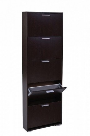 Шкаф для обуви УК-5 10000130 в Ревде - revda.mebel24.online | фото