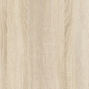 Шкаф гардеробный 900 с ящиками Салоу в Ревде - revda.mebel24.online | фото 4