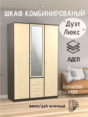 Шкаф комбинированный Дуэт Люкс с зеркалом в Ревде - revda.mebel24.online | фото 3
