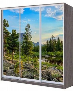 Шкаф-купе ХИТ 22-4-18/2-777 ПРИРОДА в Ревде - revda.mebel24.online | фото