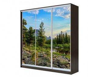 Шкаф-купе ХИТ 22-4-20-777 (420) в Ревде - revda.mebel24.online | фото