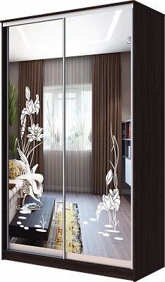 Шкаф-купе ХИТ 23-12-66 ЦАПЛИ в Ревде - revda.mebel24.online | фото