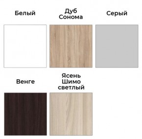 Шкаф-купе ХИТ 23-24/2-7777 (620) в Ревде - revda.mebel24.online | фото 2