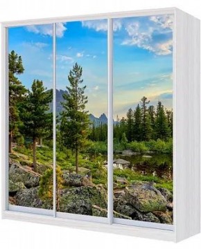 Шкаф-купе ХИТ 24-18/2-777 ПРИРОДА в Ревде - revda.mebel24.online | фото