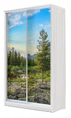 Шкаф-купе ХИТ 24-4-15-77 ПРИРОДА в Ревде - revda.mebel24.online | фото